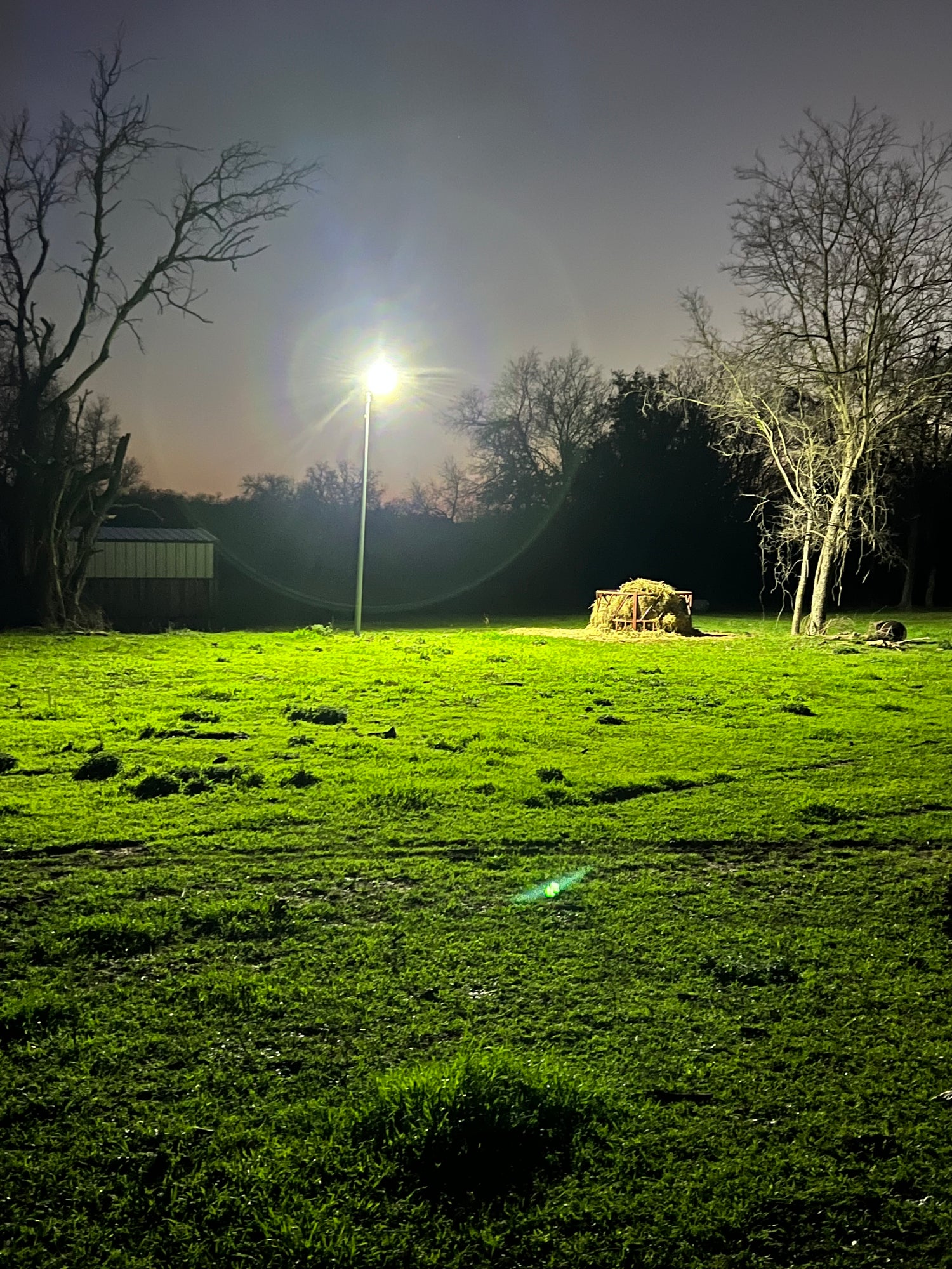 Galaxy X19 Light Pole